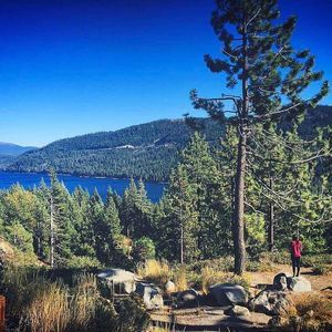 Meet your Posher, Nadine